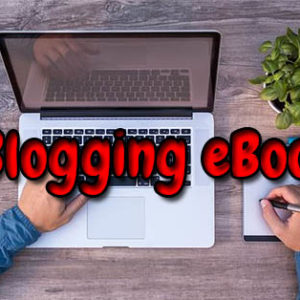 35 Blogging profit PLR MRR eBooks